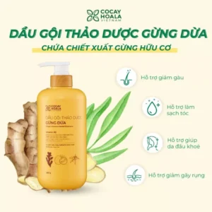 Dầu Gội Thảo Dược Gừng Dừa Cỏ Cây Hoa Lá 650G