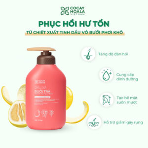 Dầu Xả Thảo Dược Bưởi Trà Cỏ Cây Hoa Lá 500G